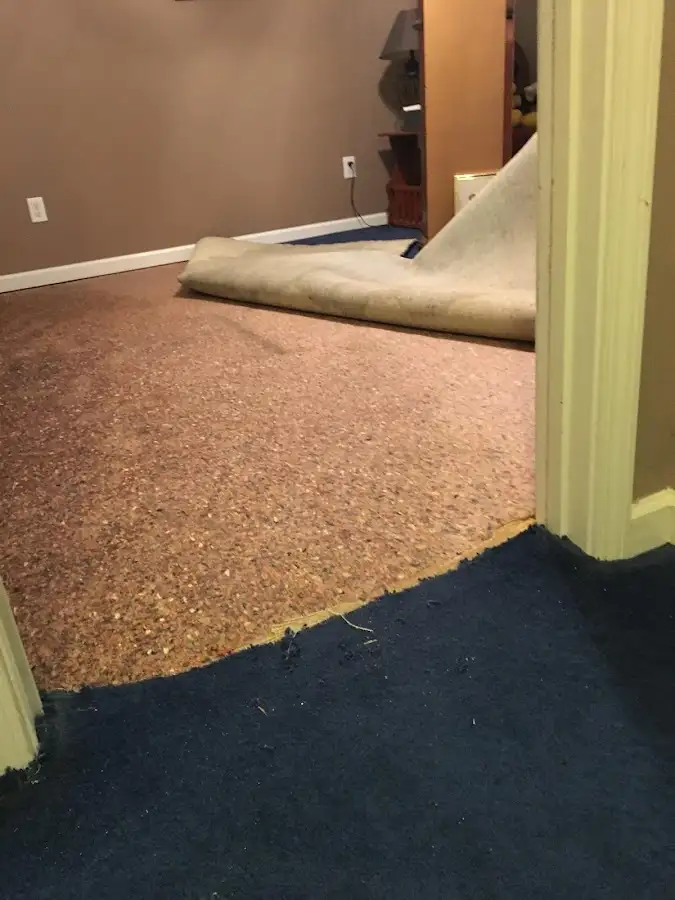Carpet pad removal revealing water damage during Water Mitigation Services in Victor